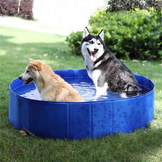 Foldable Dog Pool