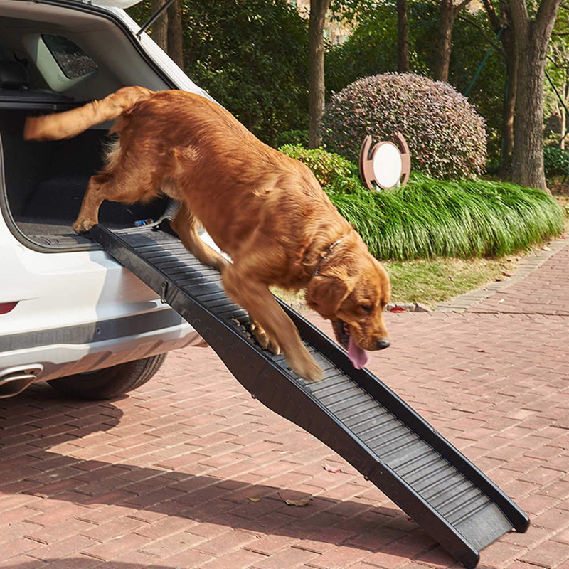 Adjustable Dog Ramp