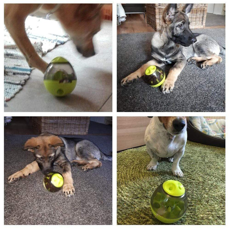 Dog Toy Treat Dispenser